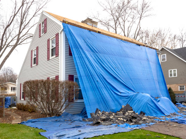 Best Storm Damage Siding Repair  in West Memphis, AR